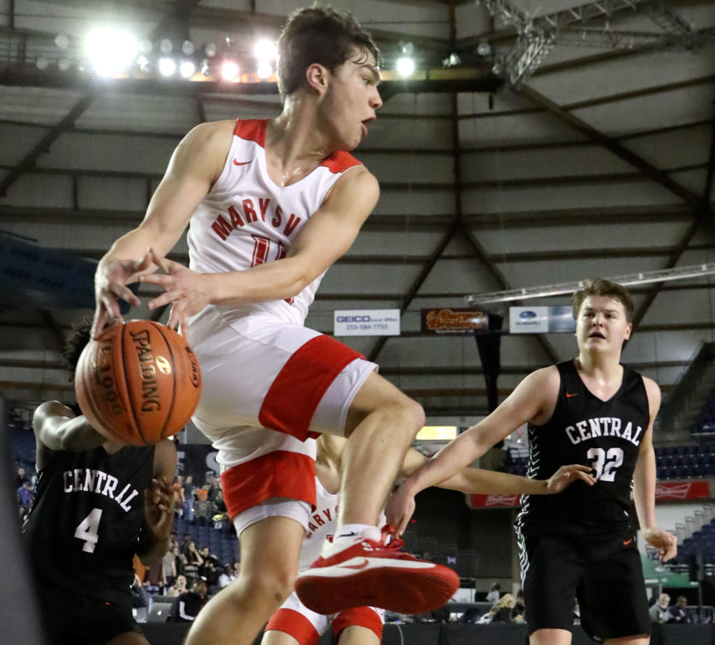 Marysville Pilchuck’s Brady Phelps attempts to save a loose ball during a 3A boys Hardwood Classic game against Central Kitsap Wednesday morning at the Tacoma Dome. (Kevin Clark / The Herald)
