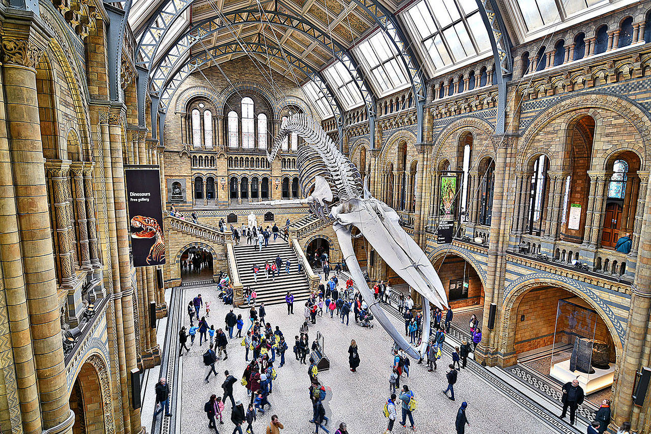 Enjoy many of London’s outstanding museums, including the Museum of Natural History, for the price of a voluntary contribution. (Rick Steves’ Europe)