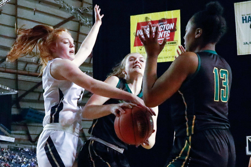 Arlington defeated Shorecrest, 50-49, to advance to the semifinalsThursday evening at the Tacoma Dome on March 5, 2020. (Kevin Clark / The Herald)
