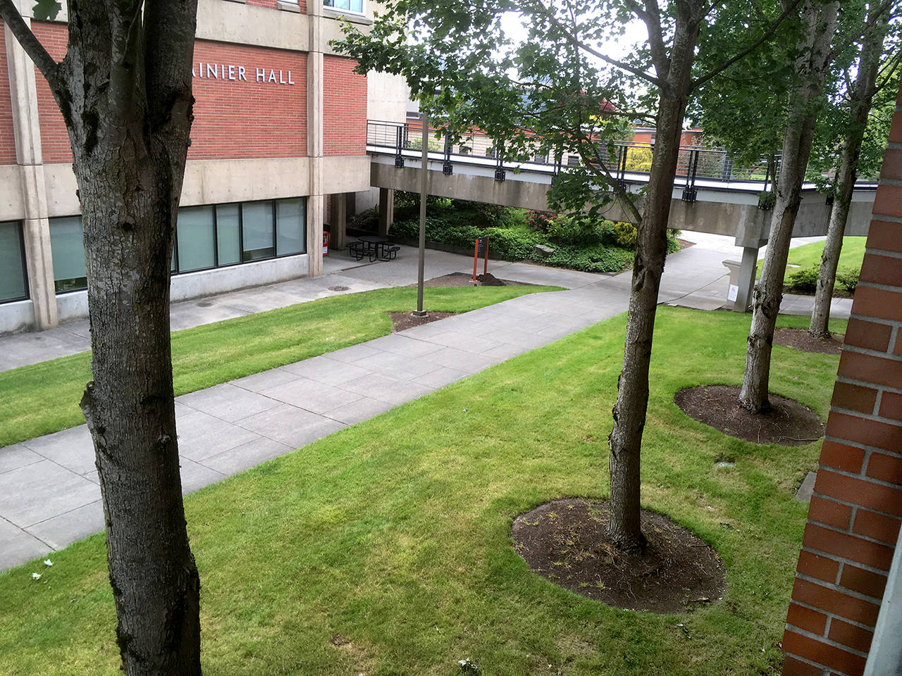 Sue Misao / Herald file                                Everett Community College campus is shown in 2019. Many of its classes will likely no longer meet in person for the rest of the quarter.