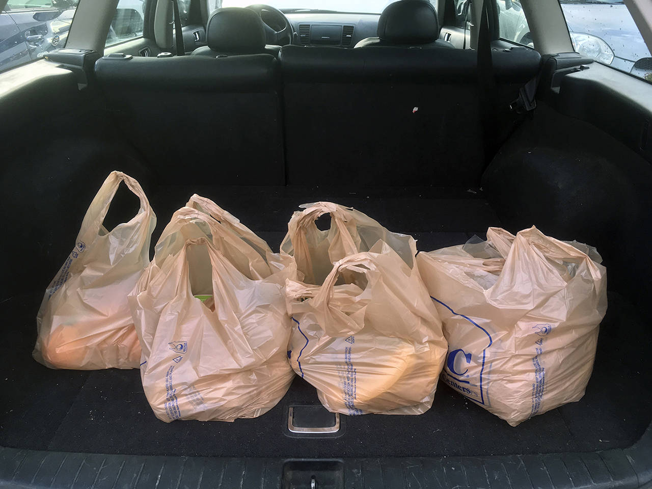 Gov. Inslee is expected to sign a bill banning single-use plastic bags in stores statewide. (Sue Misao / Herald file)