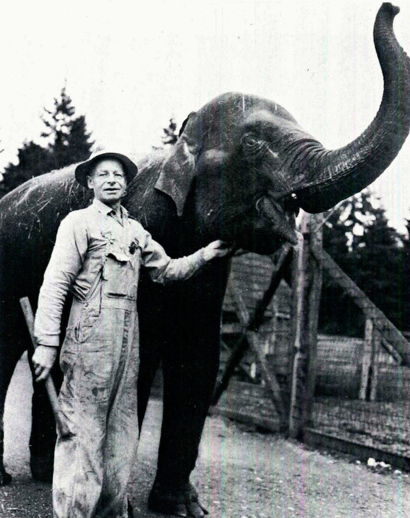 Forest Park zookeeper Al Weis stands with Rosie, an Indian elephant kept at Everett’s Forest Park Zoo from 1951 until her death in 1955. (“The History of Everett Parks”)
