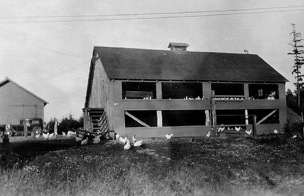 The Magelssen family’s barn was converted into a chicken house in the late 1920s. (Gerald Magelssen)
