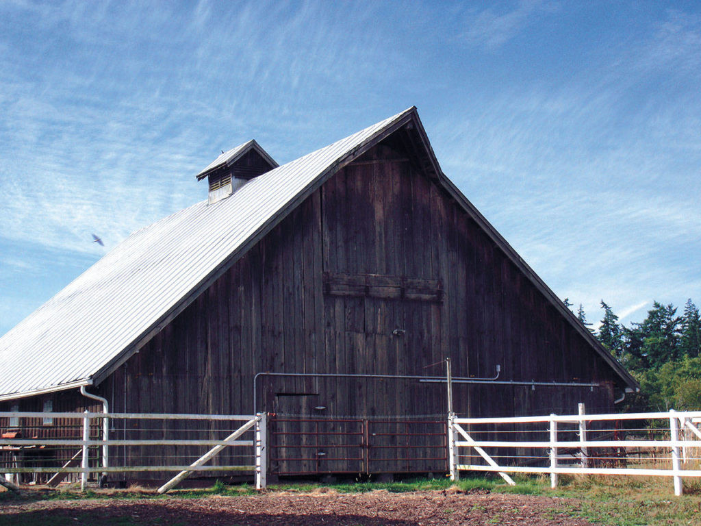 Peter Folden’s barn was built about 1920. (Gerald Magelssen)
