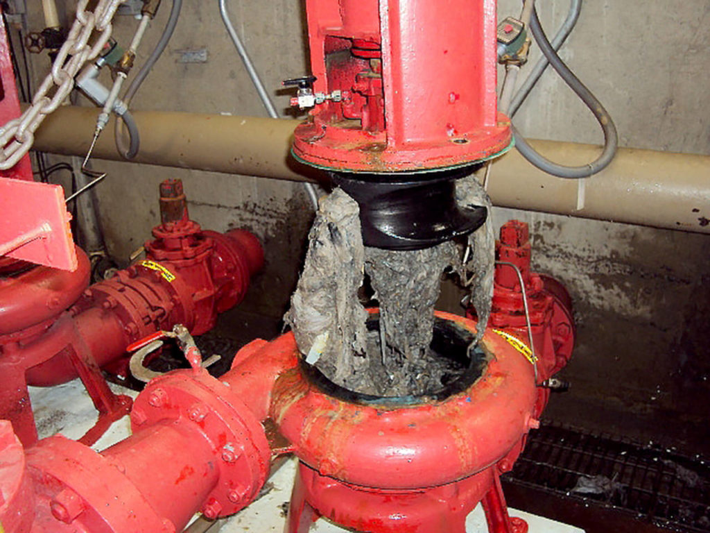 “It’s not about whether it can be flushed; it’s about whether it can be treated well,” officials said. (City of Monroe)
