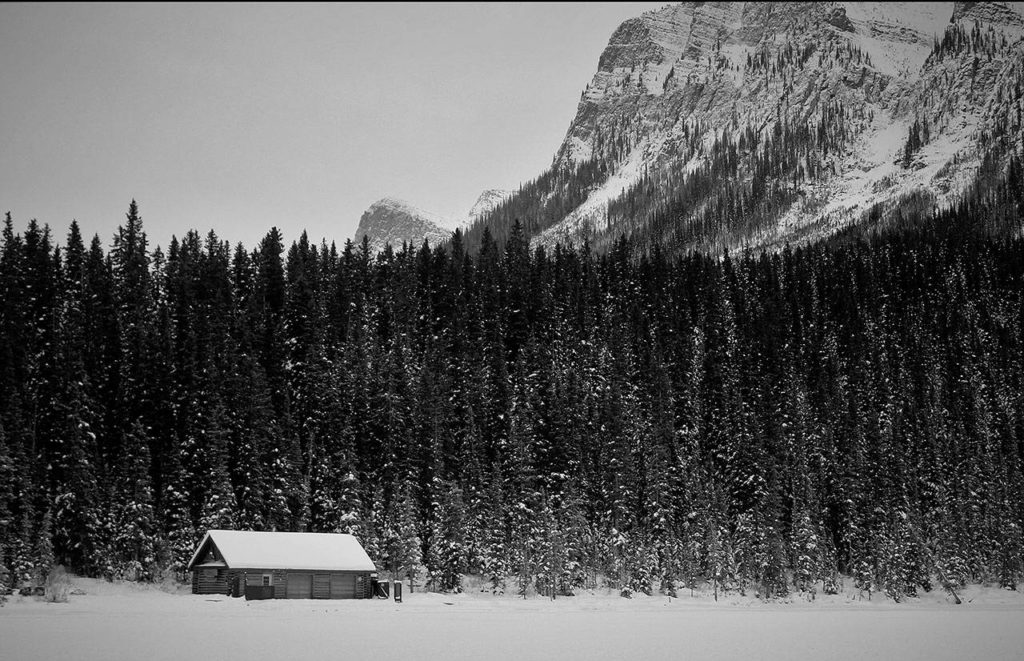 Madison Von Melville, a sophomore at Lake Stevens High School, finished in second place for her photo, “Alone and Isolated.”
