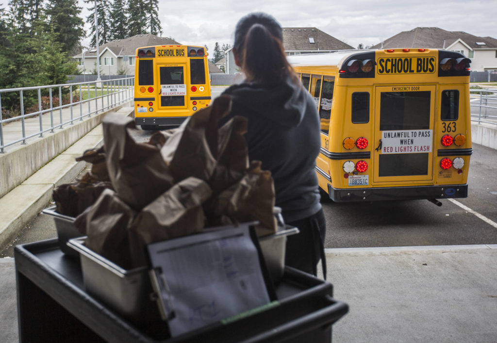 School buses begin arriving to pick up meals on March 12 in Bothell. (Olivia Vanni / The Herald)
