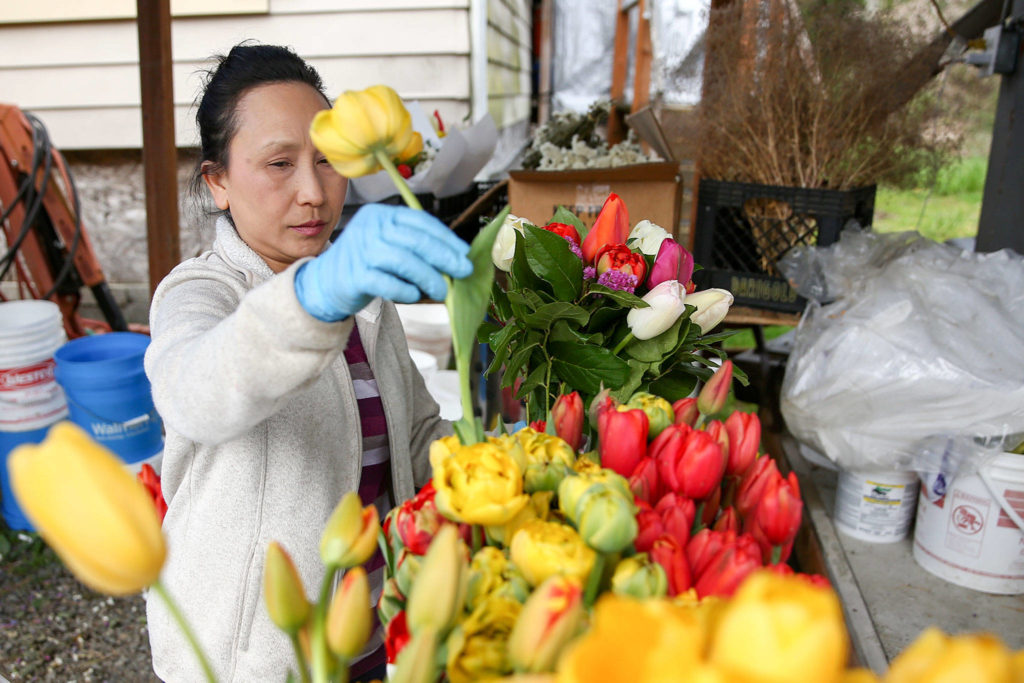 Pa Lee works to assemble bouquets Friday at her farm in the Machias area near Snohomish. Lee and other flower sellers initially weren’t allowed at farmers markets under coronavirus restrictions, but were confirmed over the weekend as part of essential agriculture business. (Kevin Clark / The Herald)
