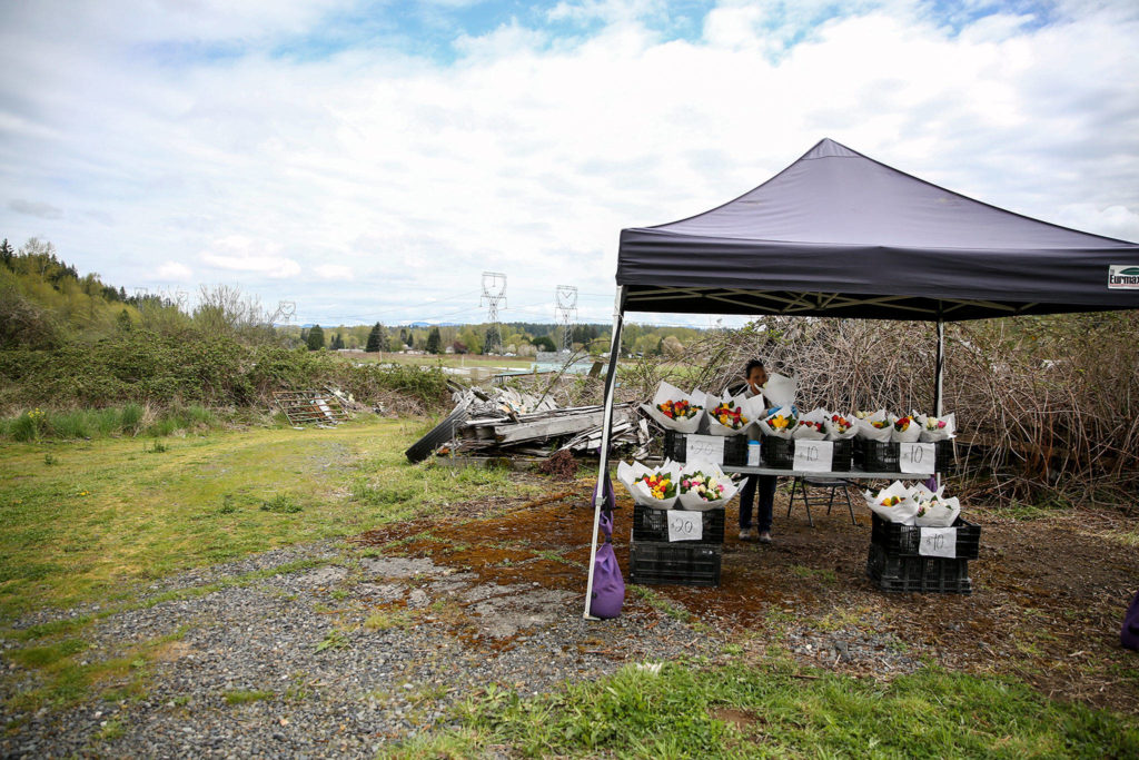 Pa Lee’s flower stand was open to traffic Friday at her farm in the Machias area near Snohomish. While facing uncertainty over being allowed to sell at farmers markets, the farmstand helped cover impending losses. (Kevin Clark / The Herald)
