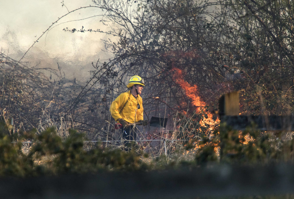 A firefighter attacks a spot fire as multiple strike teams from Snohomish County fire departments fought a large brush fire along Highway 9 on Wednesday in Bryant. (Andy Bronson / The Herald)
