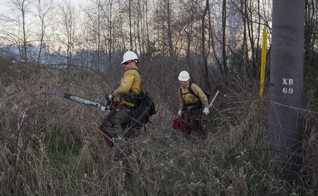 Department of Natural Resources firefighters Josh Etringer and John Goodwin cut and clear a path as they battle to keep fire from reaching power poles along Highway 9 on Wednesday in Bryant. (Andy Bronson / The Herald)
