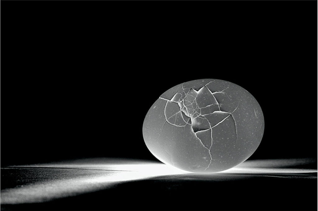 Sophia Rennert of Snohomish High School won a Gold Medal and a American Visions Medal for her photograph, “Eggs.”
