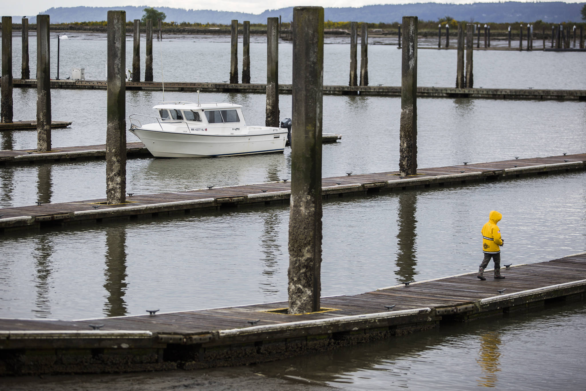 A boy walks along one of the empty docks at the 10th Street Boat Launch which is open to the public Monday in Everett. (Olivia Vanni / The Herald)