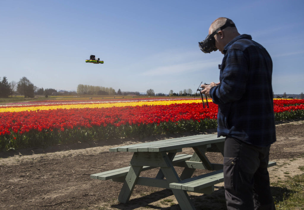 Dan Casmare flies his drone over the tulip fields at Tulip Town on April 13. He is filming content for the virtual reality app the business plans on launching for people to experience the tulip bloom. (Olivia Vanni / The Herald)
