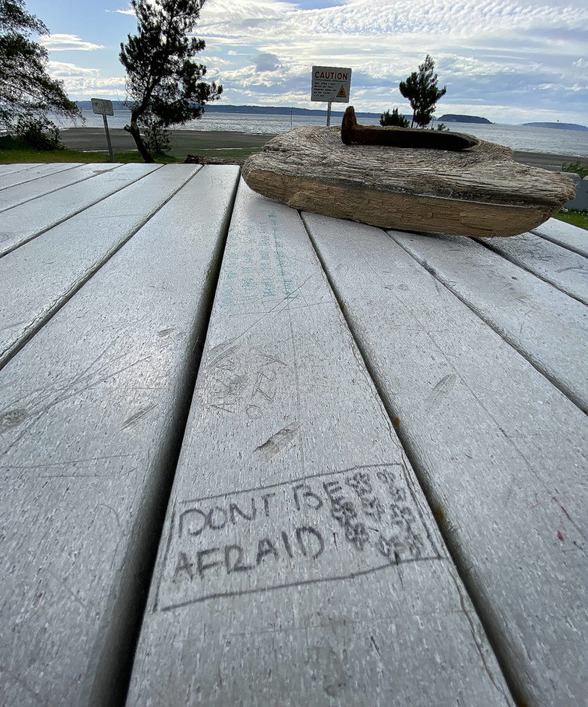 Frightening picnic table. (Sue Misao / The Herald)
