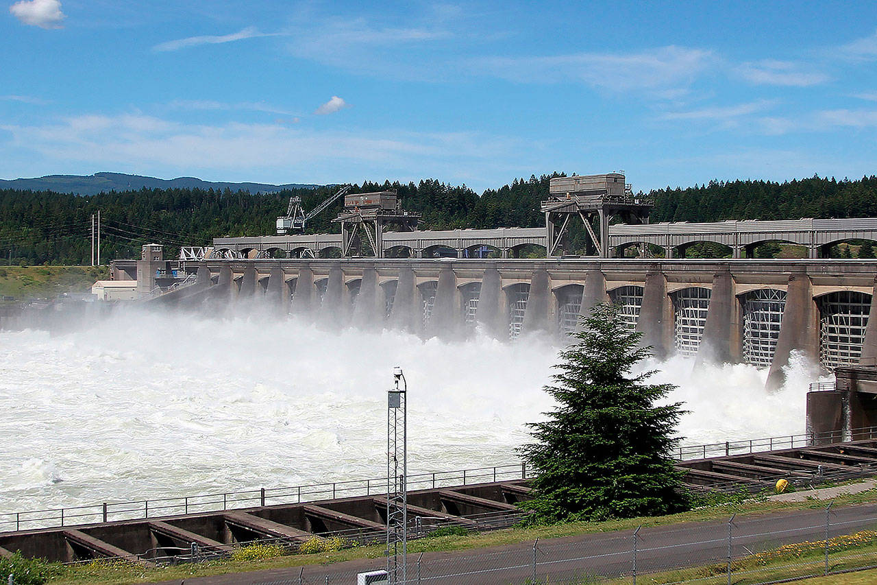 In this 2012 photo, water flows through the Bonneville Dam near Cascade, Oregon. (AP Photo/Rick Bowmer, file)
