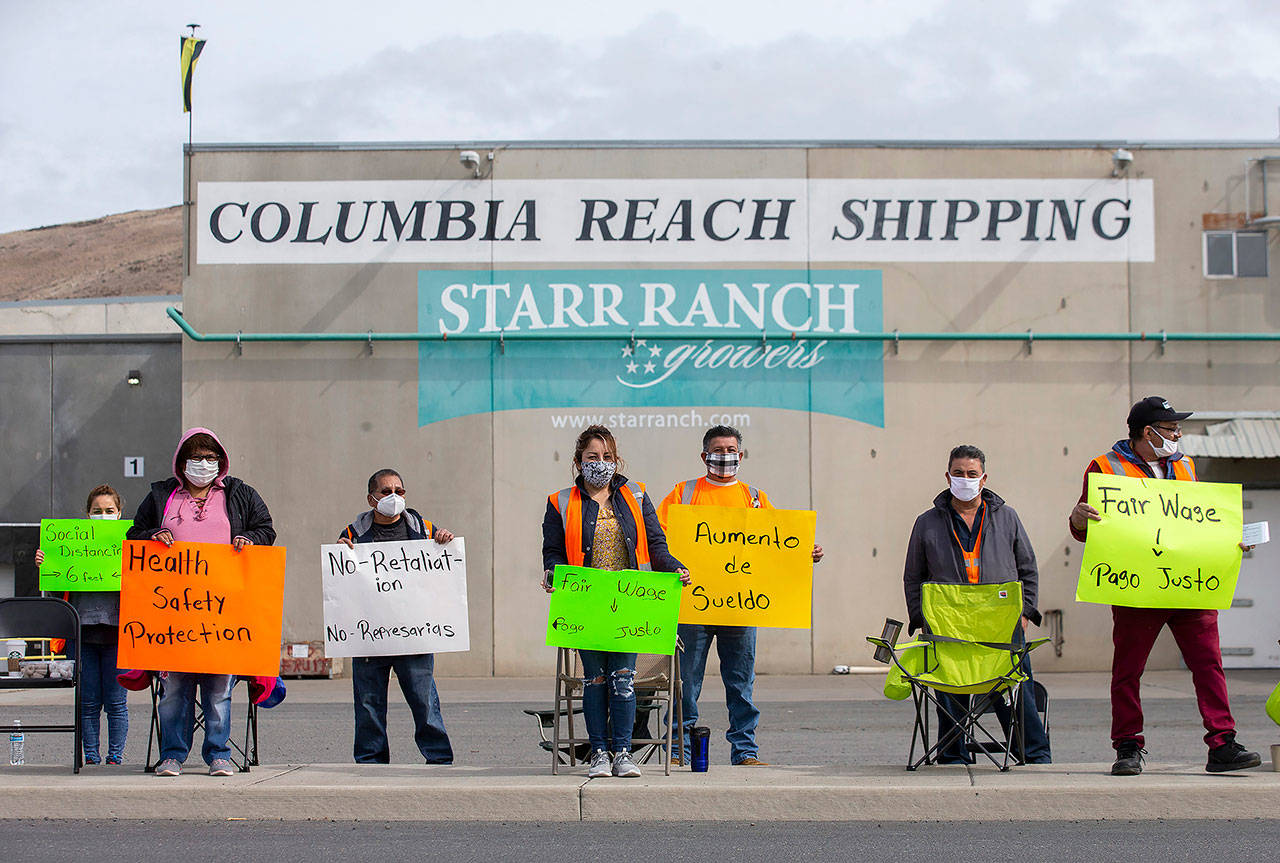 Workers from Columbia Reach Pack hold signs while on strike in front of the business Thursday in Yakima. (Evan Abell/Yakima Herald-Republic via AP)