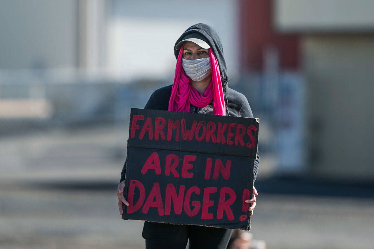 A fruite packing worker holds a placard during a rally to protest workspace conditions during the coronavirus outbreak Friday, May 15, 2020, in Selah. (Amanda Ray/Yakima Herald-Republic via AP)
