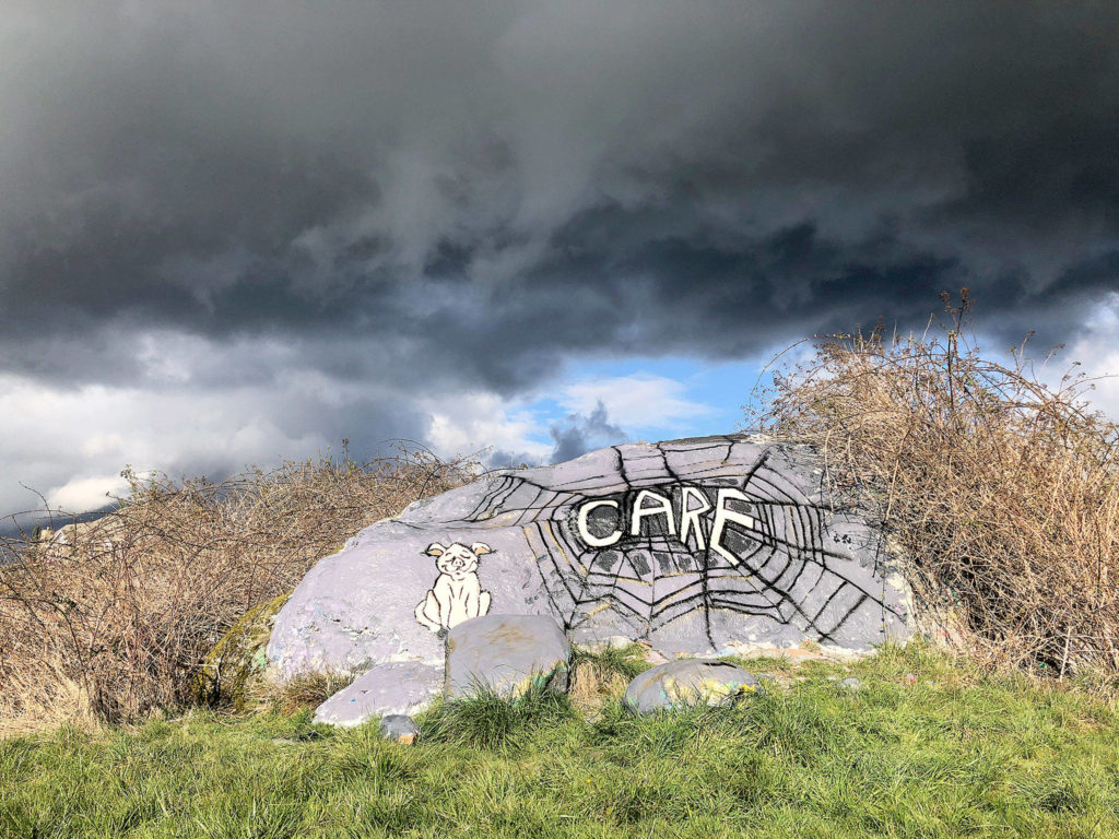 Laurie Olsen took a photo of the “Charlotte’s Web”-themed mural she painted on a rock near Dutch Hill Elementary School that has been a colorfully decorated Snohomish icon for years. Olsen changed the mural several times to say “We Can” and “Hope.”
