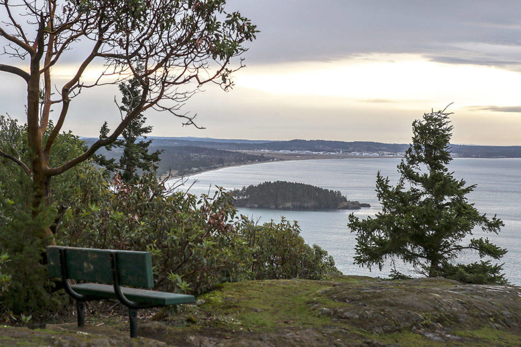 The trail to Sares Head at Sharpe Park on Fidalgo Island is a short hike that leads to great views of Deception Pass. (Kevin Clark / Herald file)
