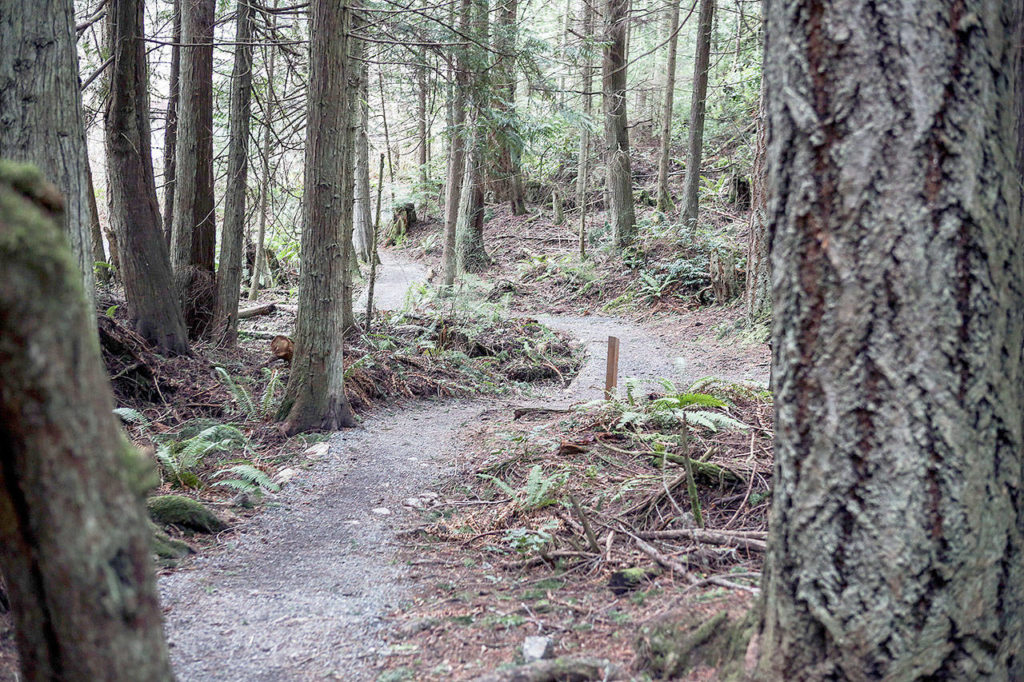 Sharpe Park is just north of Deception Pass on the west side of Fidalgo Island. (Kevin Clark / Herald file)
