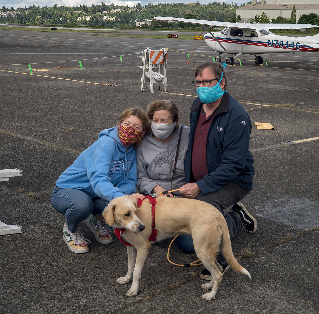 Niaya and her new family meet for the first time at Renton Municipal Airport. The labrador-beagle mix travelled thousands of miles to meet her new family in the midst of the coronavirus pandemic. (Andre Osorio / Renton Reporter)