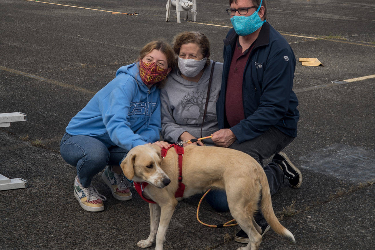 Dog rescuers weather pandemic to bring a puppy to Renton