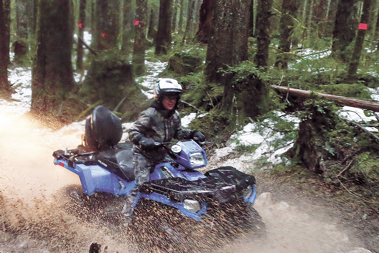 2 timber harvests planned near Gold Bar recreation areas