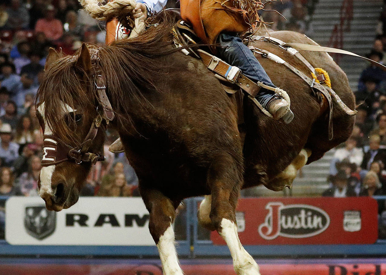 Recent Glacier Peak graduate Allison Ladd will compete in poll bending at the National High School Finals Rodeo in Guthrie, Oklahoma. (AP Photo)