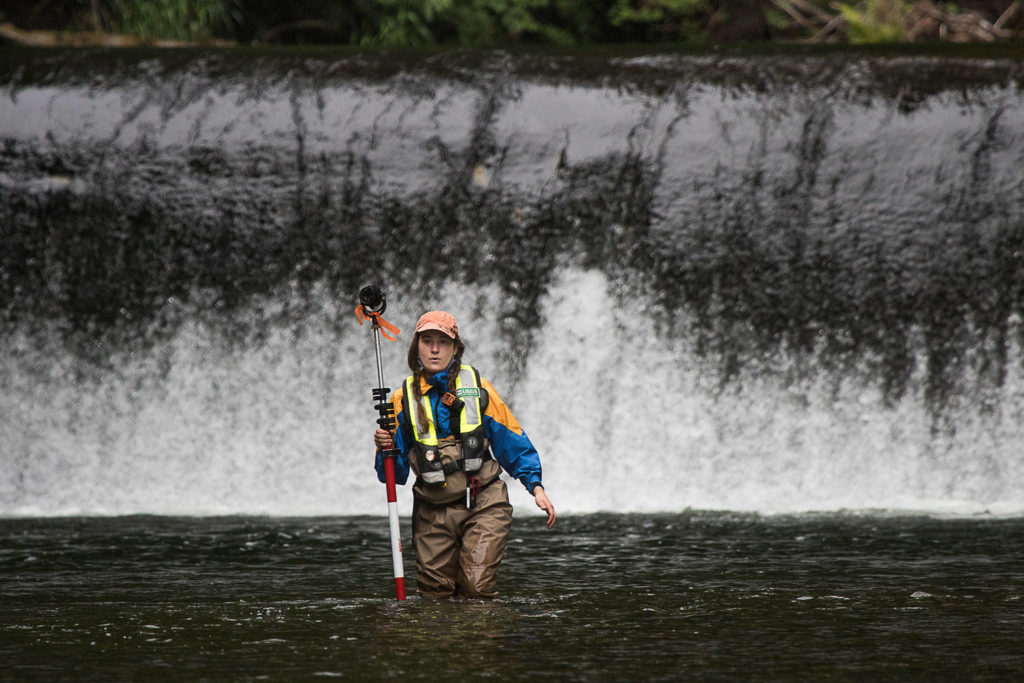 With the Pilchuck Dam behind her, Katie Seguin of the U.S. Geological Survey holds a prism pole while standing in the Pilchuck River on Tuesday in Granite Falls. Crews were mapping the riverbed to track how sediment will move once the dam is removed. (Andy Bronson / The Herald)
