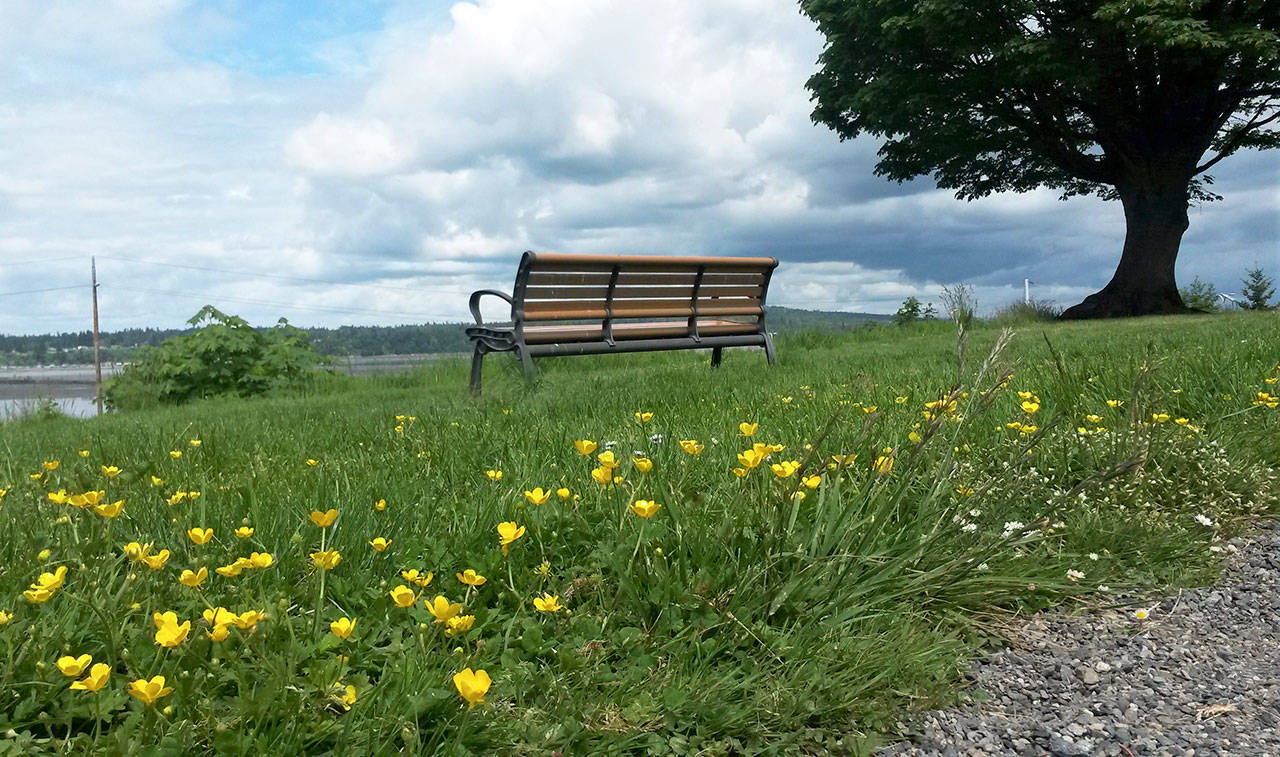 An empty bench at Everett’s Legion Memorial Park is a sign of the times, as people practice social distancing during the COVID-19 pandemic. (Julie Muhlstein photo)