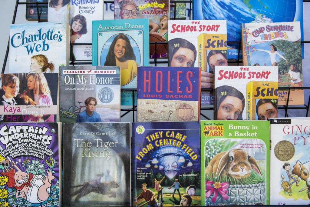 A selection of some of the Lions Club books available on Tuesday in Tulalip. (Olivia Vanni / The Herald)
