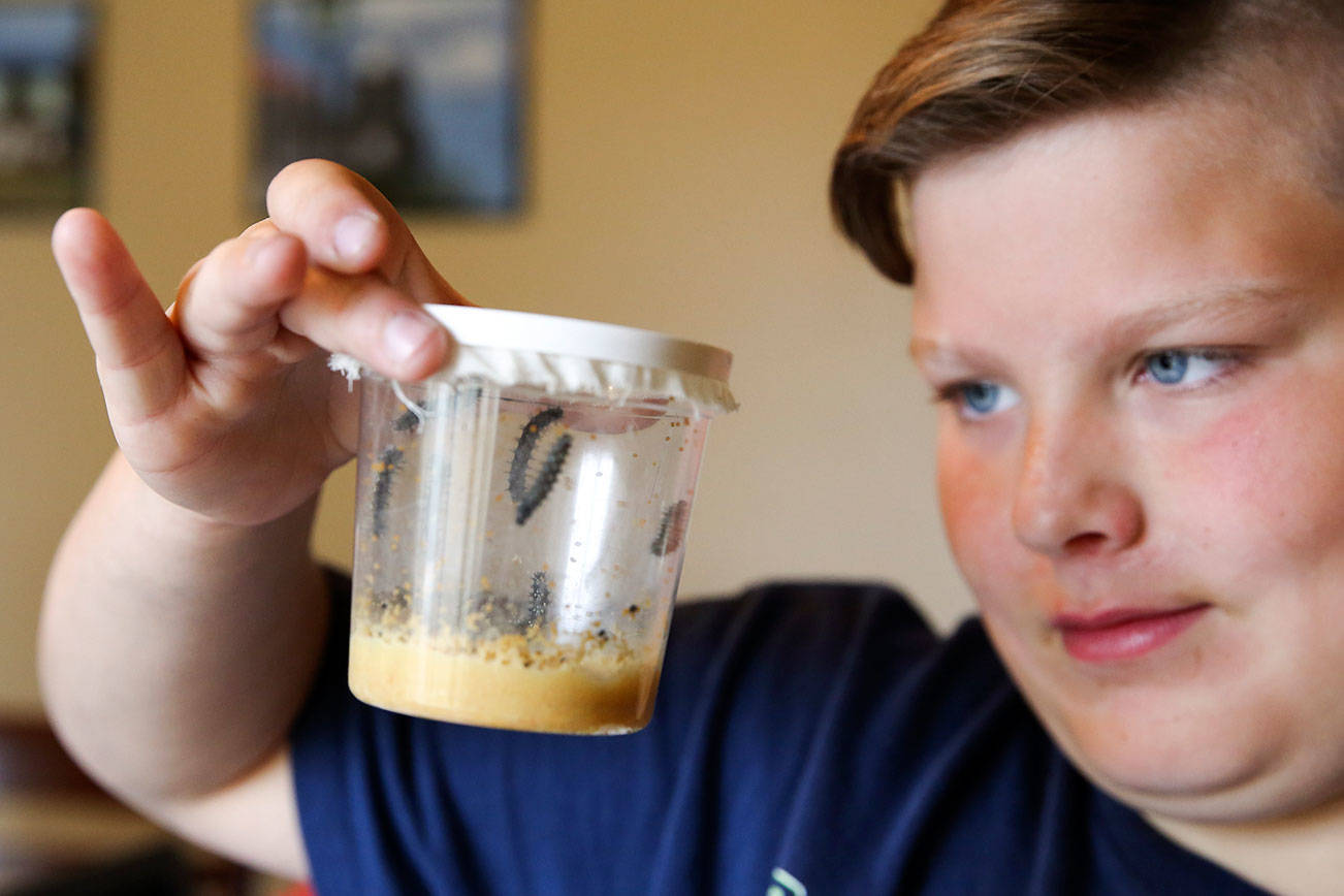These take-home science kits could be a model for fall
