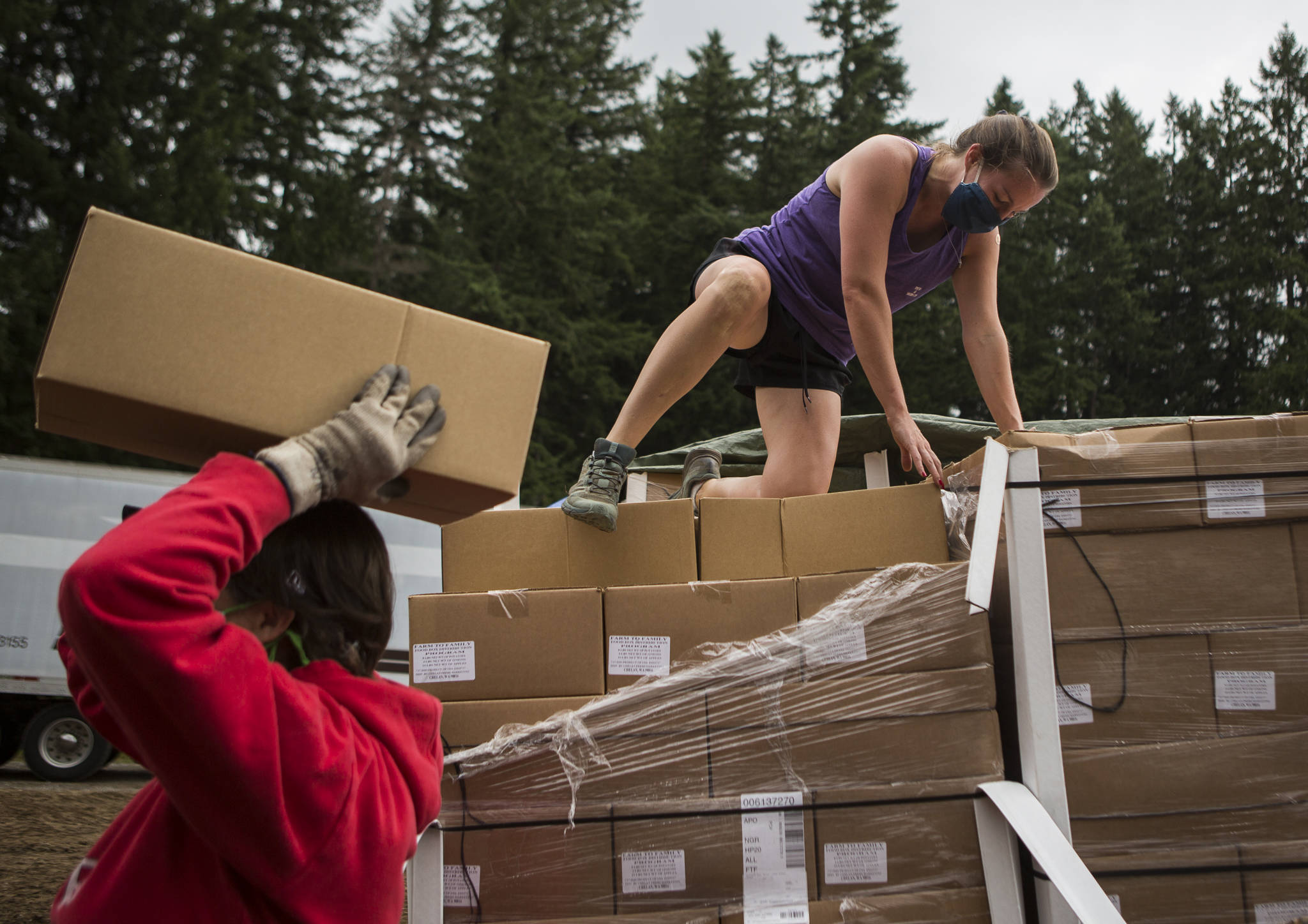 Alysha Herich (right) hands boxes of food to Vickie Cariello (left) to load into cars at Farmer Frog on July 24 in Woodinville. (Olivia Vanni / The Herald)