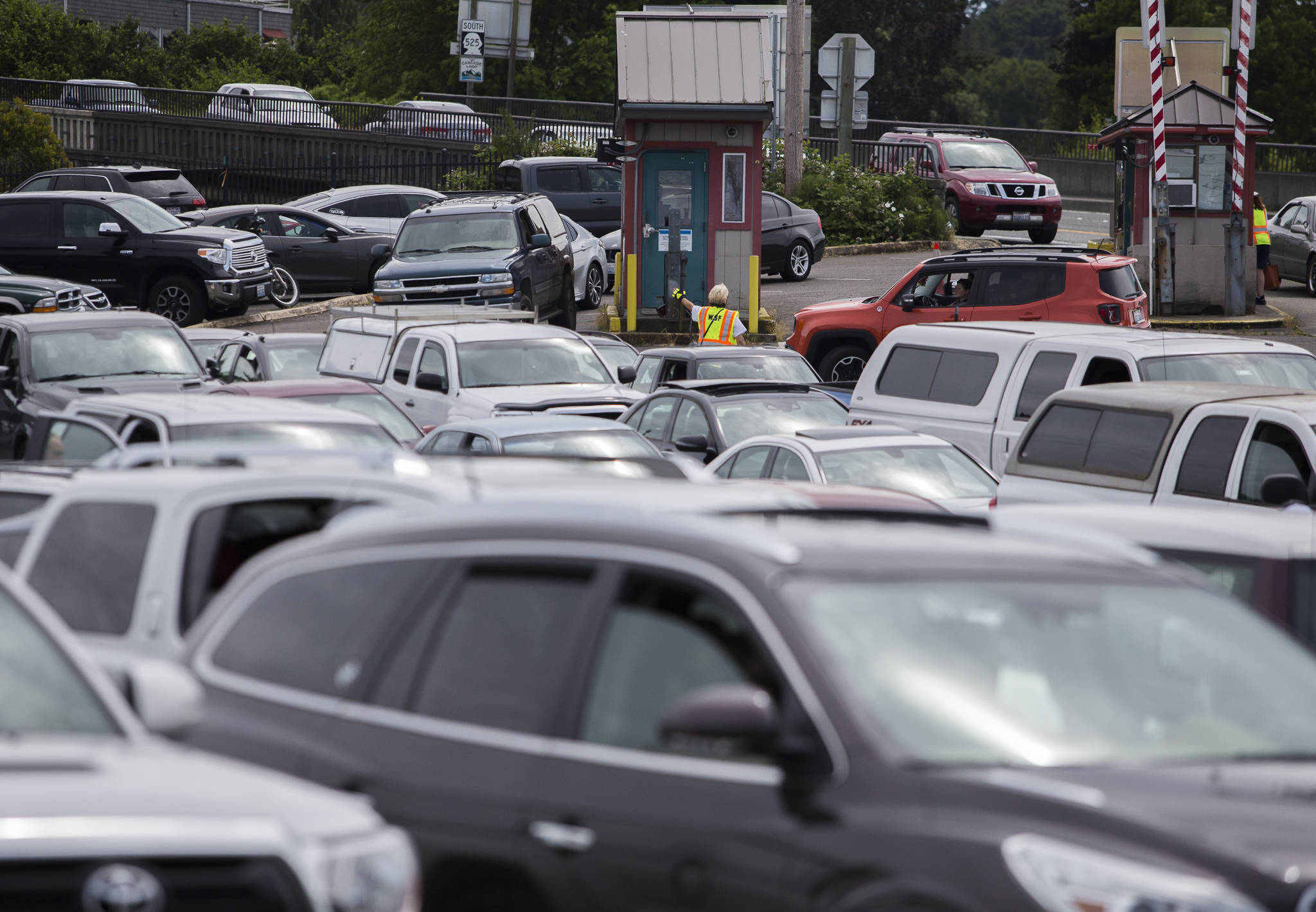 Cars pull into the ferry lines in Mukilteo on June 26. (Olivia Vanni / Herald file)