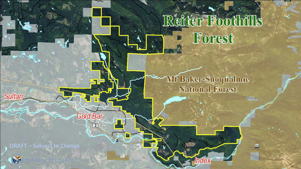 A map showing the 10,000-acre Reiter Foothills Forest, outlined in yellow. (Washington State Department of Natural Resources) 
