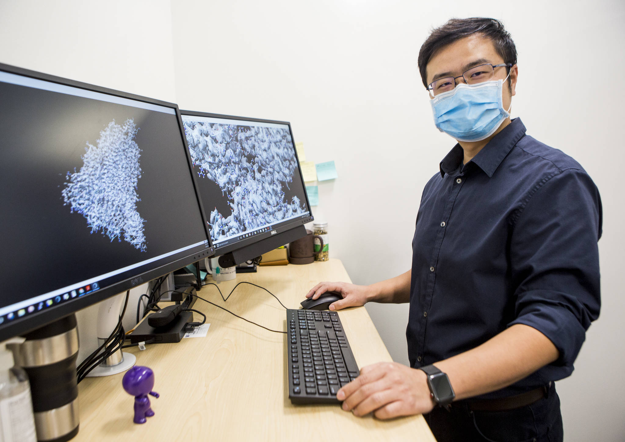 Dong Si, a University of Washington Bothell computational science professor, with two images of COVID-19 and a human cell created in tandem with his students. (Olivia Vanni / The Herald)