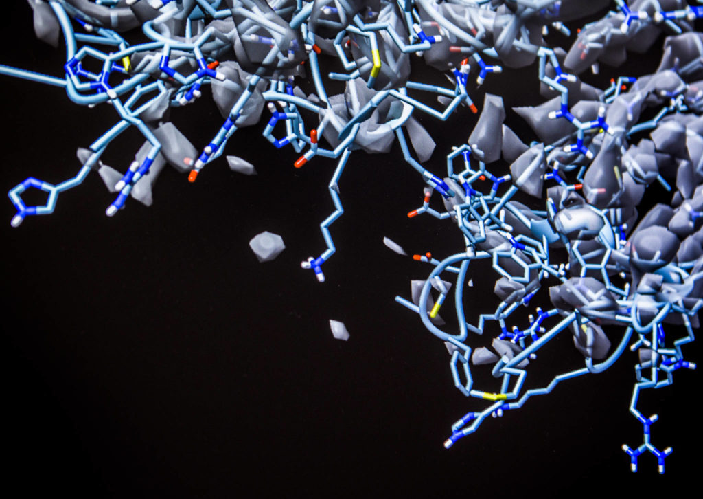 A close look at a coronavirus model created by Dong Si and his students at UW Bothell. (Olivia Vanni / The Herald) 
