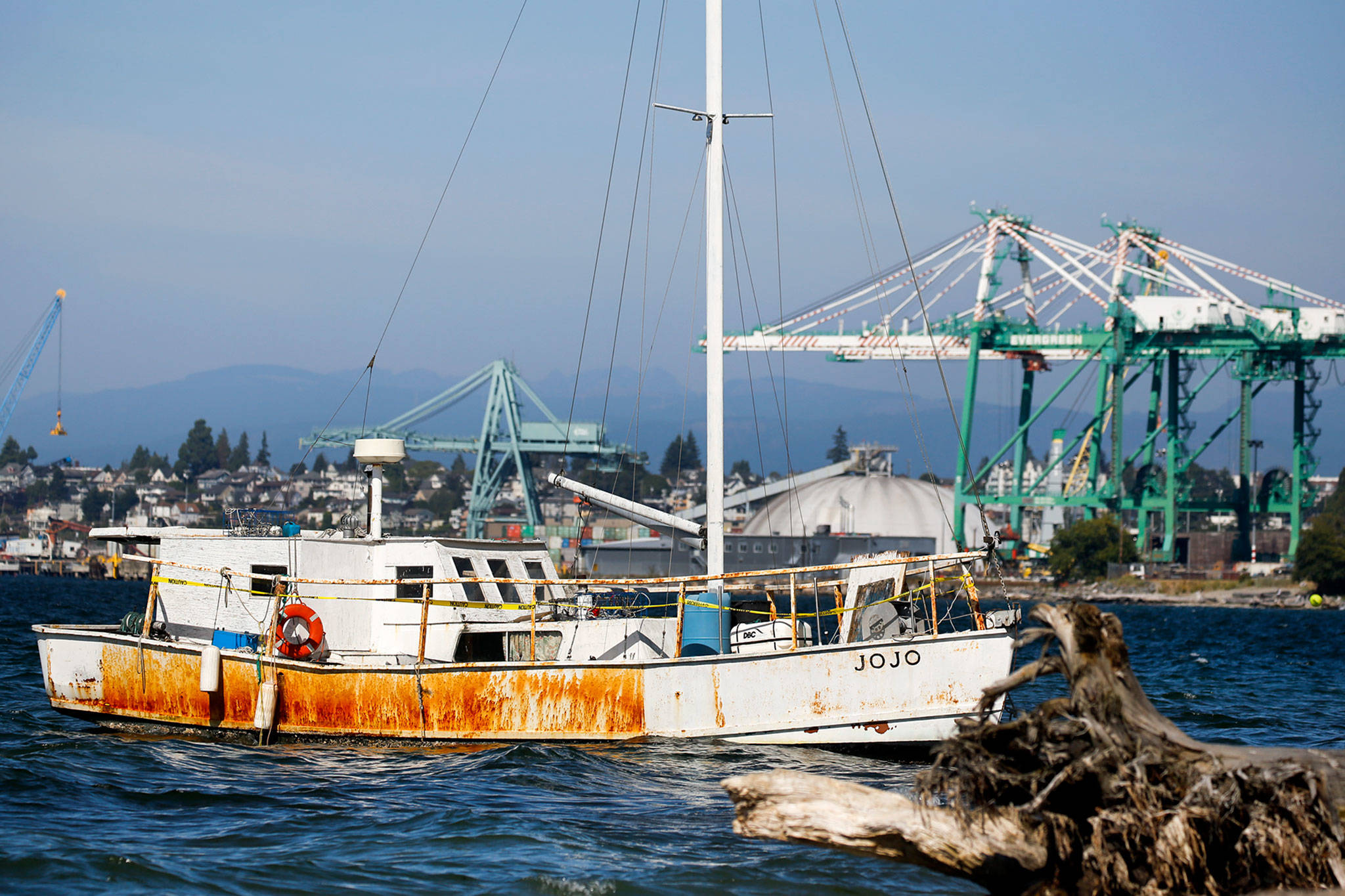 The JoJo washed ashore at Howarth Park in Everett. The city and state are working together to find out if they need to take control of the boat, or if the owner can move it on his own. (Kevin Clark / The Herald)