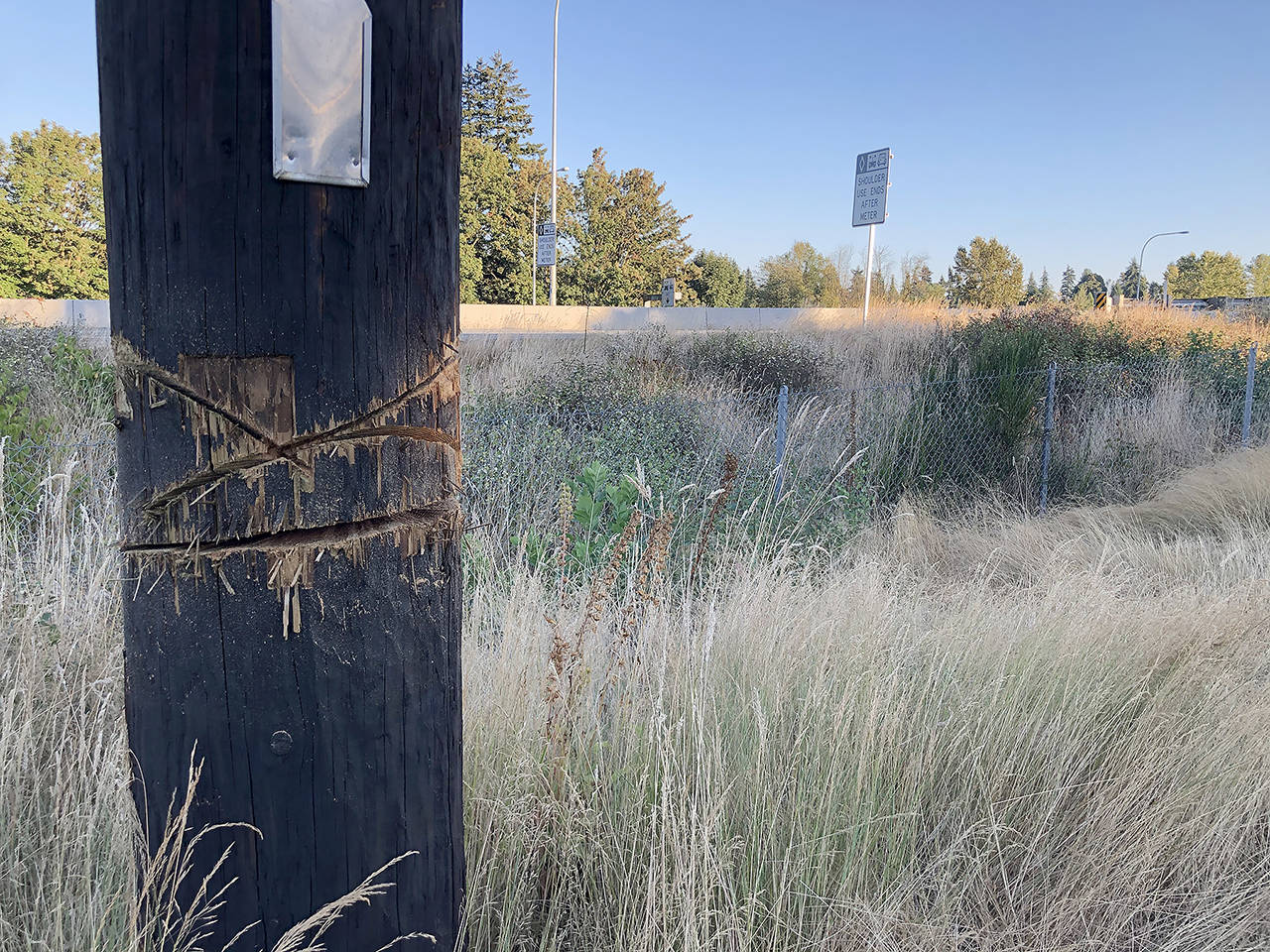 Cuts are visible in a Snohomish County PUD power pole in Lynnwood. (Snohomish County PUD)