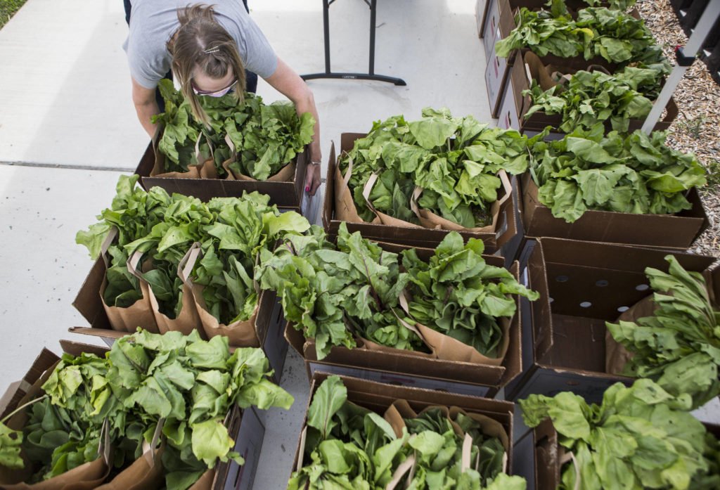 Everett Housing Authority family services manager Donelle Kienholz helps organize boxes of fresh produce. (Olivia Vanni / The Herald)
