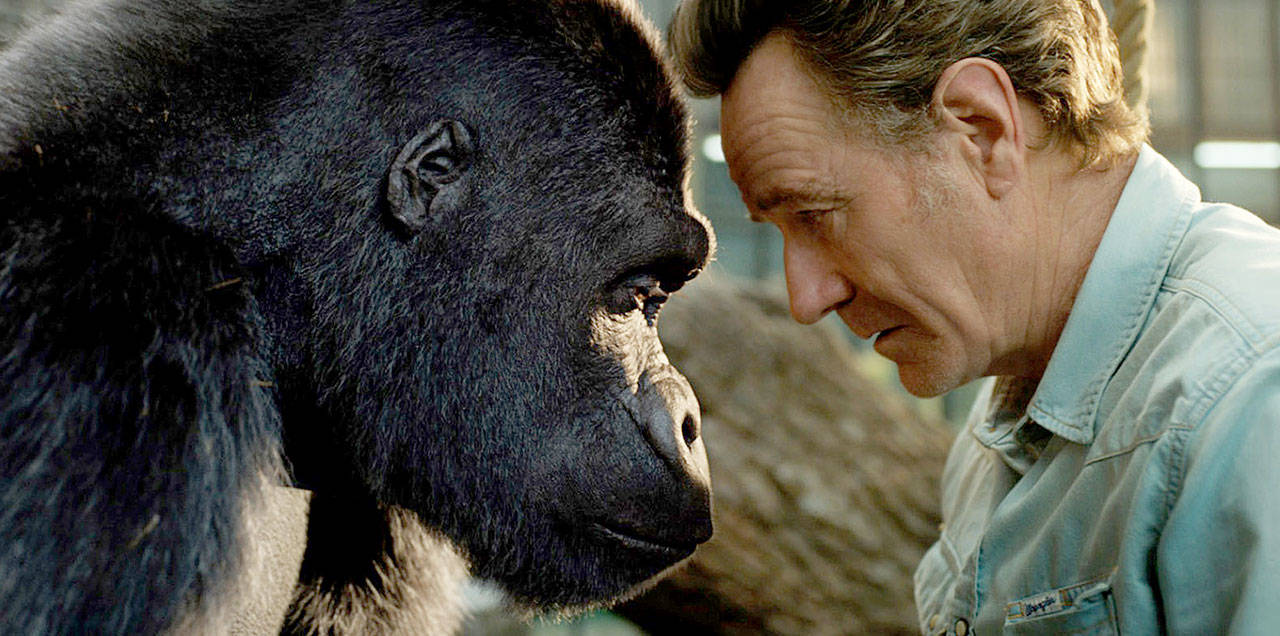 Ivan (voiced by Sam Rockwell) and Bryan Cranston as Mack in “The One and Only Ivan.” (Disney)