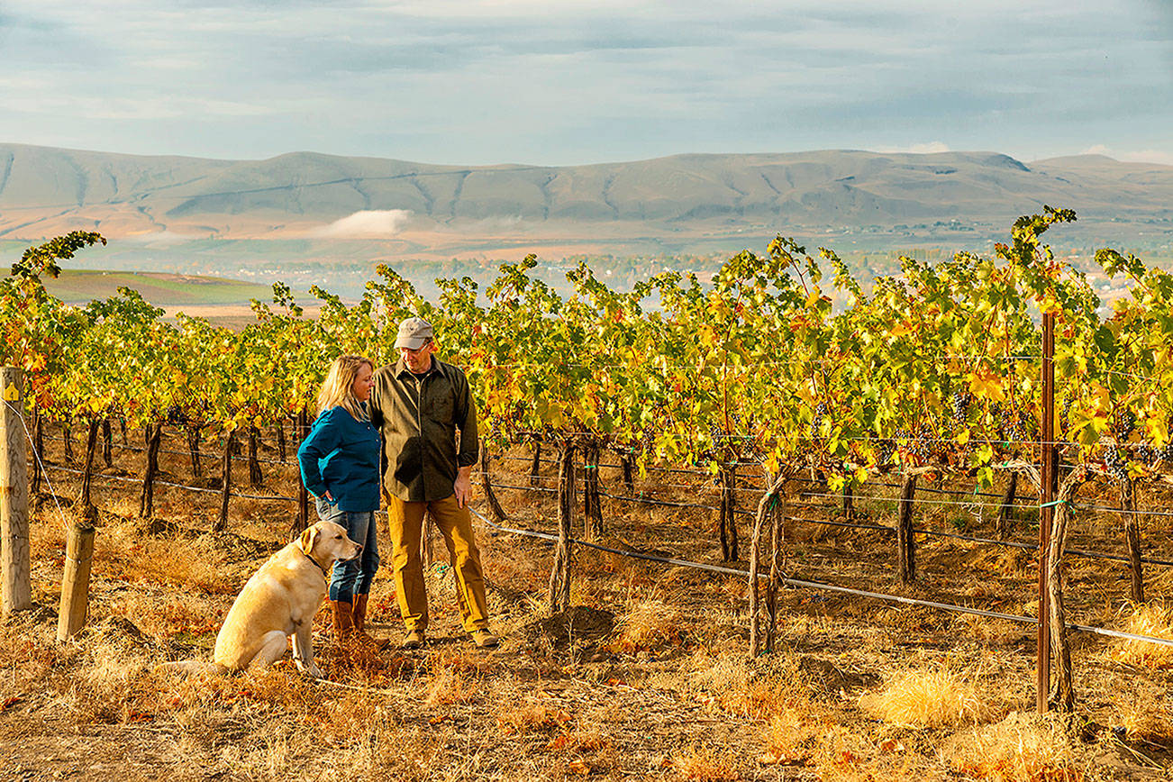 Tim and Kelly Hightower own, operate and share the winemaking duties at Hightower Cellars on Red Mountain. With them is their dog Riley. (Richard Duval Images)