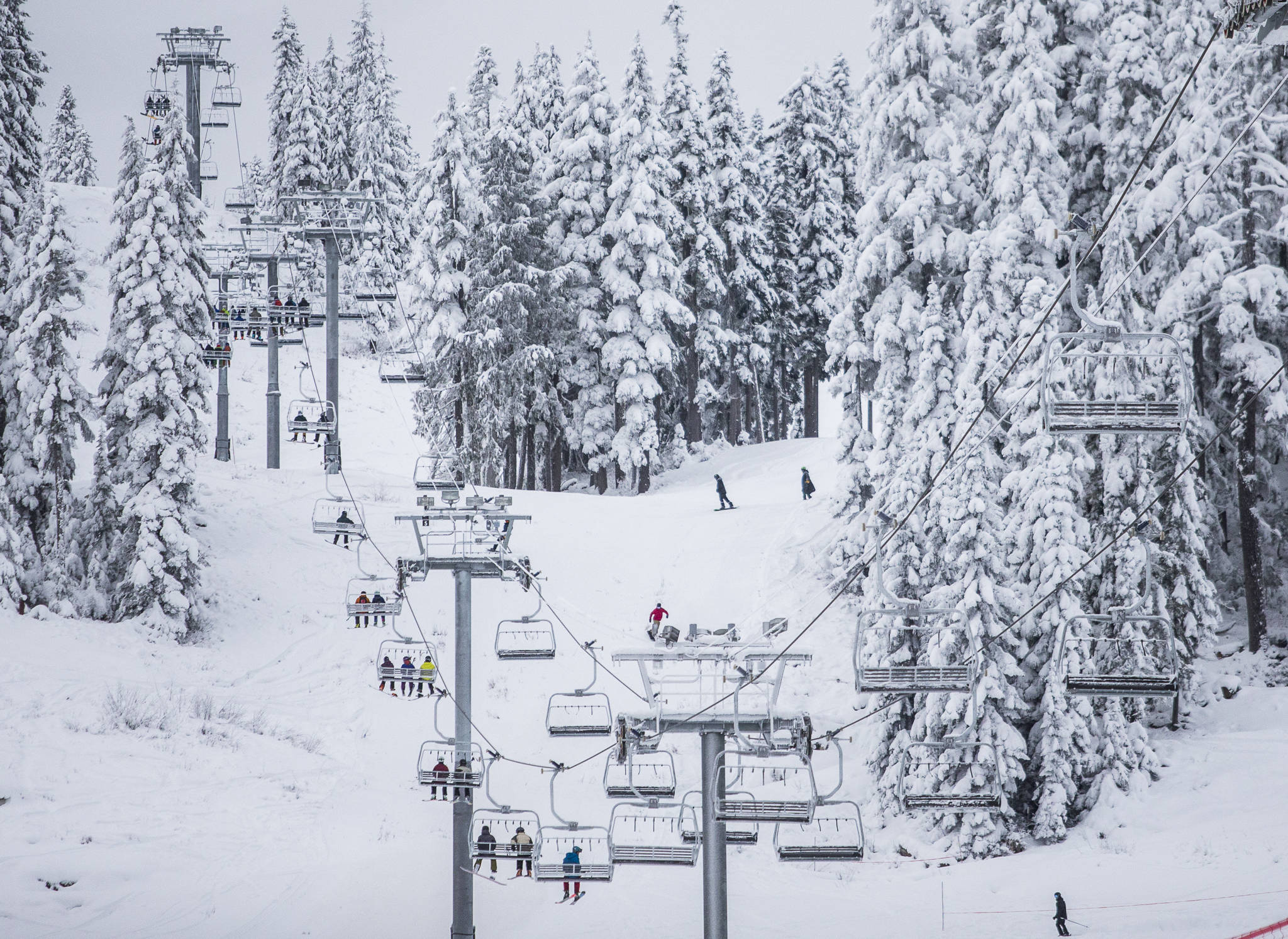 Skiers and snowboarders make their way down the mountain during opening day at Stevens Pass on Dec. 18, 2019. (Olivia Vanni / The Herald)