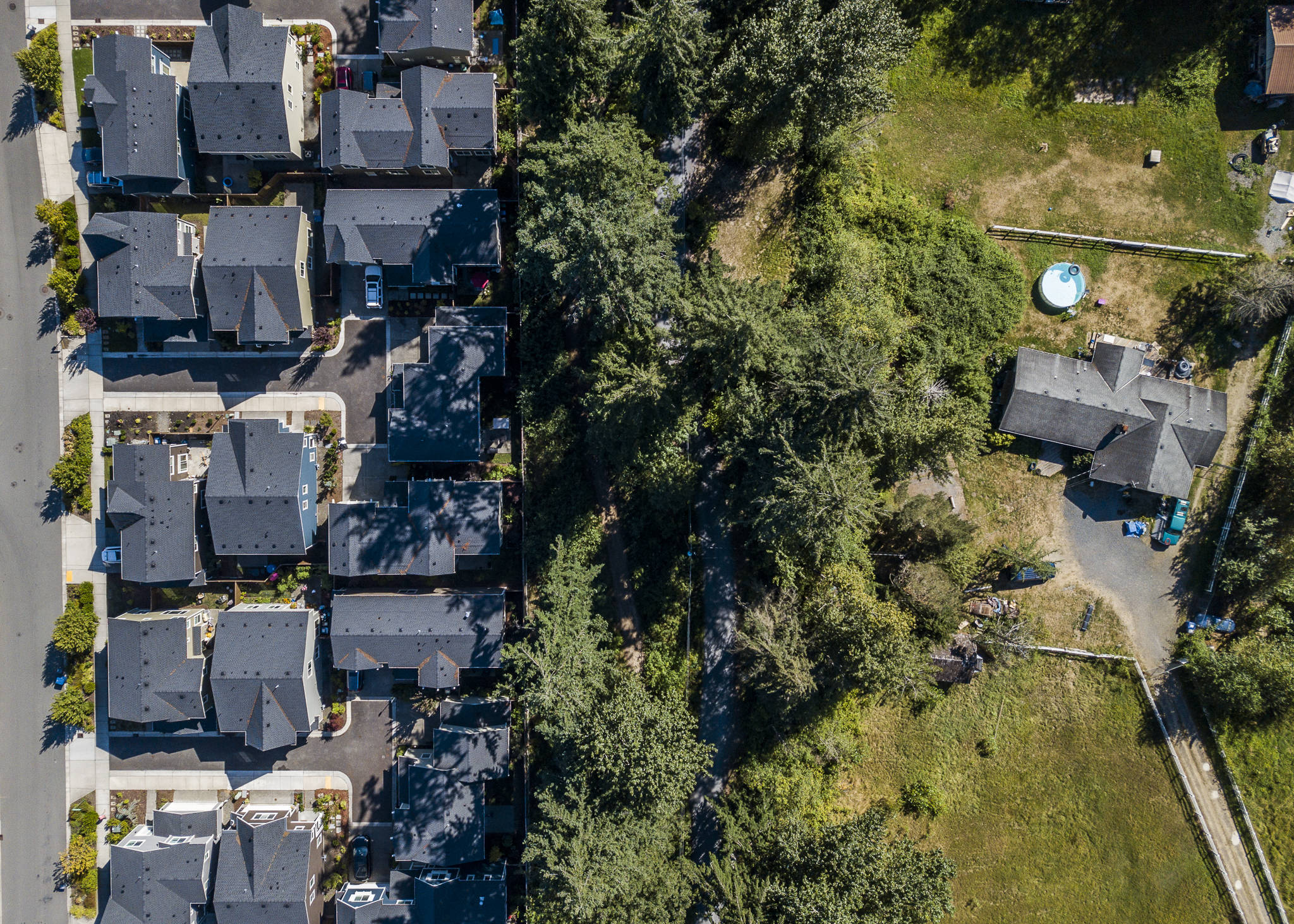 The southern boundary of Timber Creek subdivision, which borders a handful of properties along 43rd Avenue whose owners are hoping for a zoning change. (Olivia Vanni / The Herald)