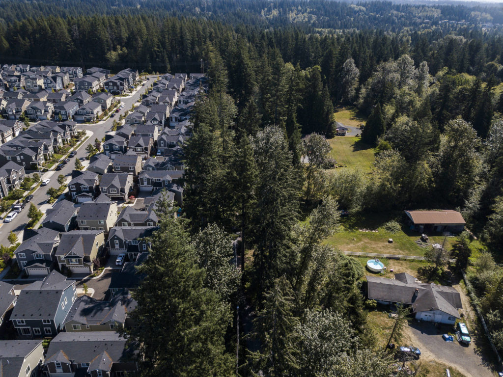 A view of the divide between subdivisions and rural properties along 43rd Avenue. (Olivia Vanni / The Herald) 
