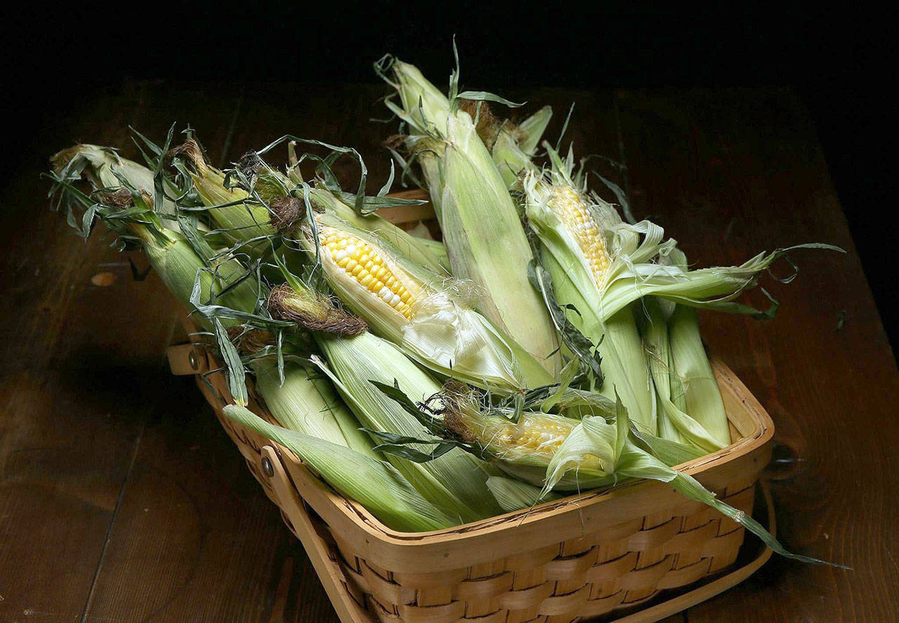 With the season at its peak, you’ll want your fill of fresh corn on the cob. But after that, what’s next? (Terrence Antonio James / Chicago Tribune)