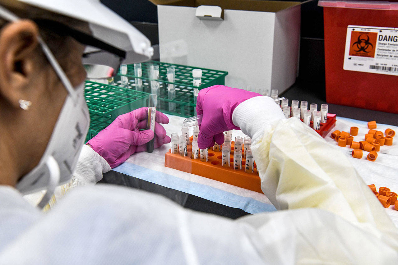 A lab technician sorts blood samples inside a lab for a COVID-19 vaccine study at the Research Centers of America in Hollywood, Florida, on Aug. 13. So-called “phase three vaccine clinical trials,” in which thousands of people take part in the final stages, are gaining traction in Florida. (Getty Images)