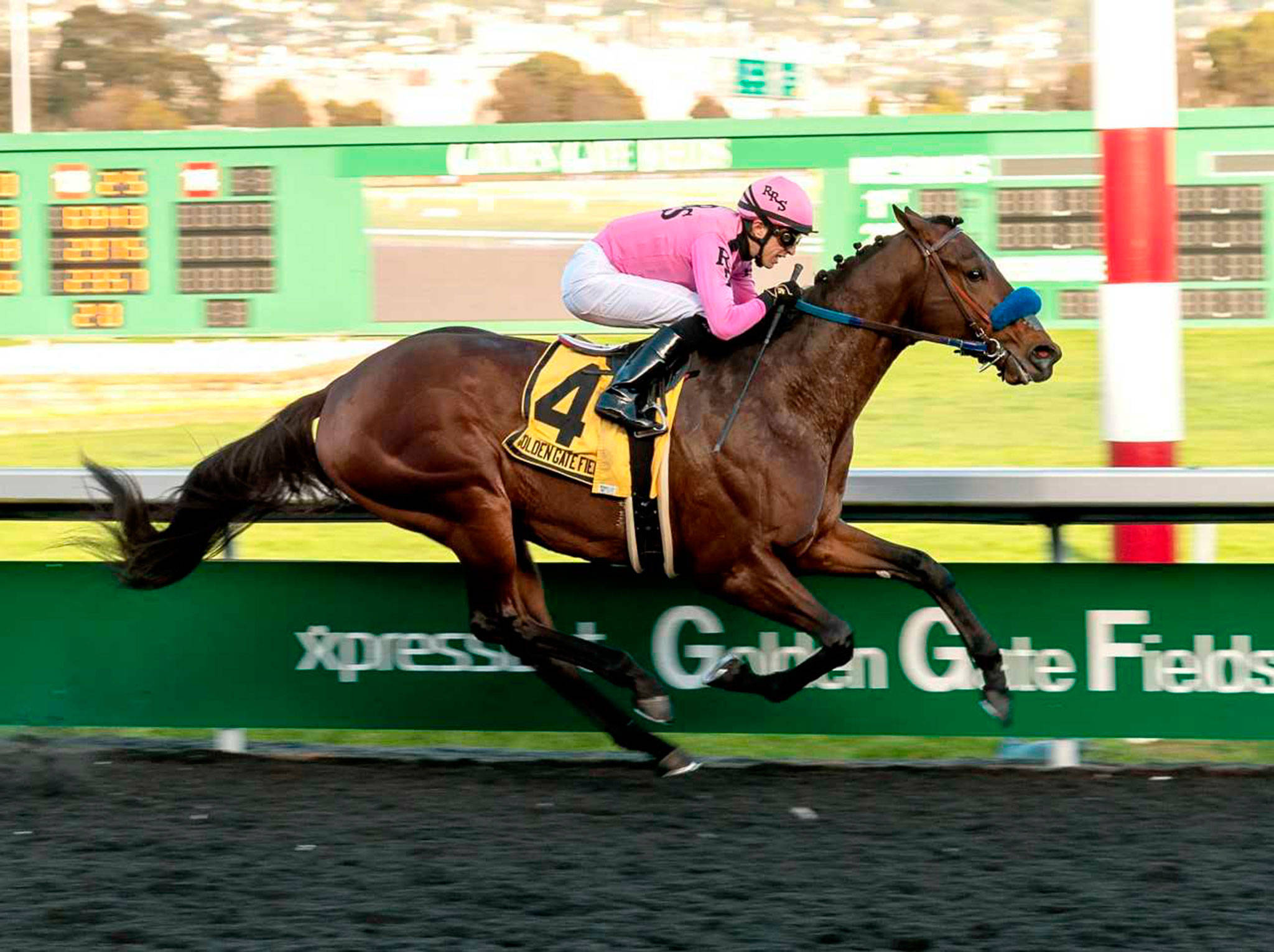 Anothertwistafate is expected to be the favorite in Thursday’s Longacres Mile at Emerald Downs. (Photo courtesy of Emerald Downs)