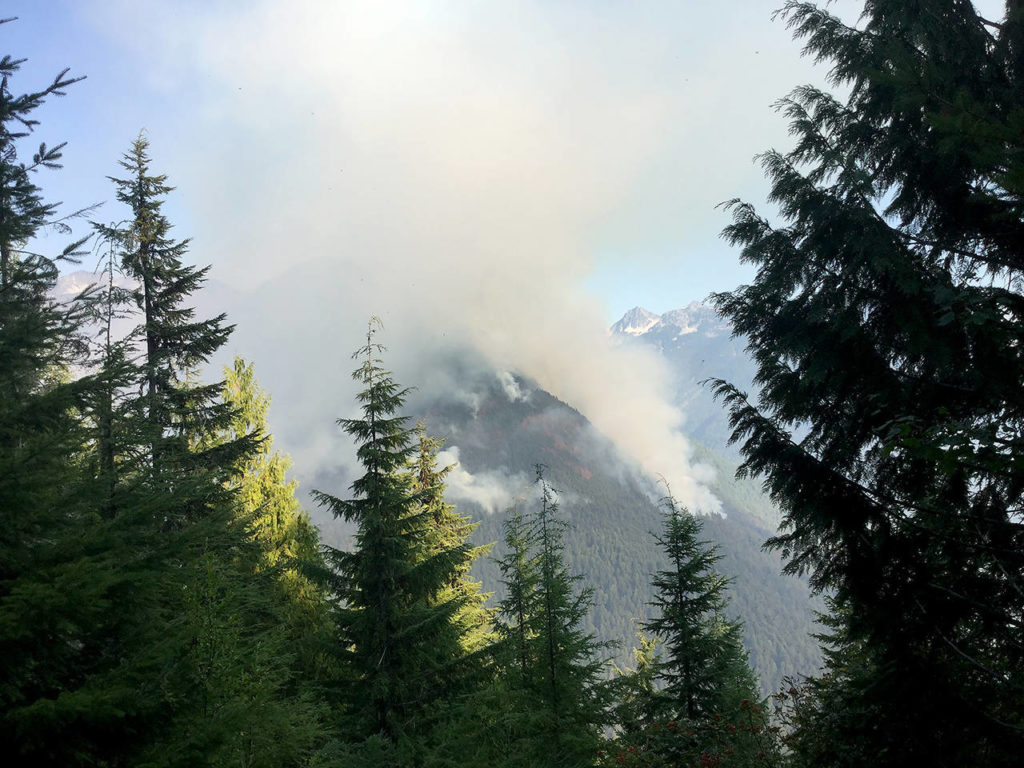 The Downey Creek inched forward for nearly three weeks before burgeoning from 350 to over 1,000 acres in the span of a day in early September. (Sandra Ruffner)
